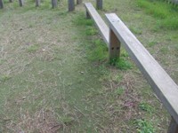 Badly maintained carpet